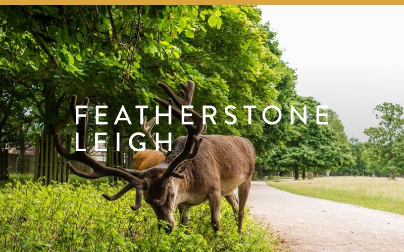 Latest work Featherstone Leigh